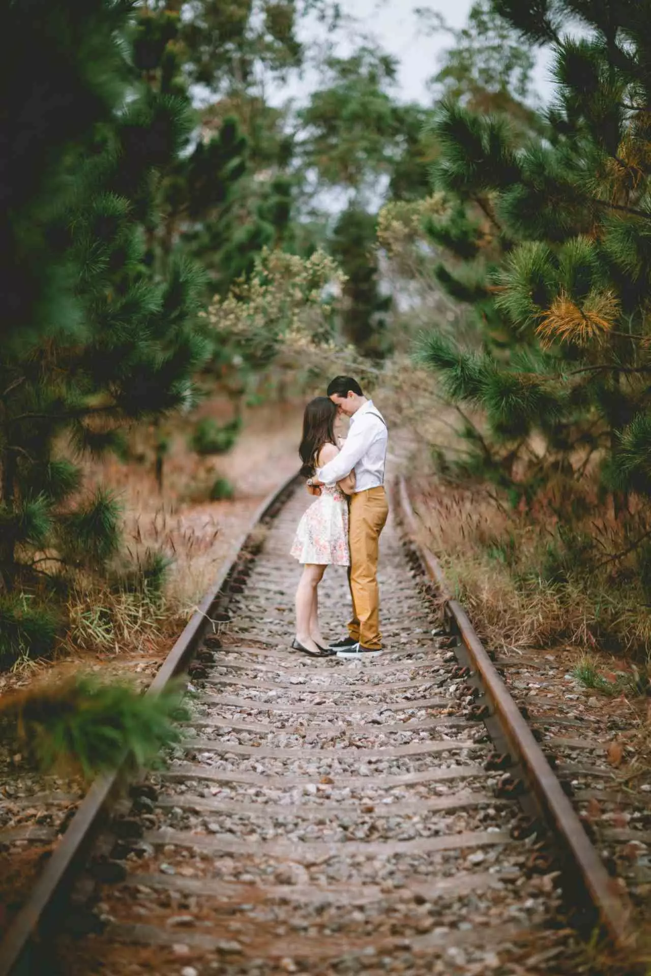 Couple sur des rails dans une forêt, entre exploration et sécurité. Un couple debout sur des rails de chemin de fer, entouré d’une forêt, symbolisant la tension entre le mouvement et le repos, le désir d'avancer et le désir de se protéger, le danger et la sécurité.