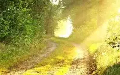 Dépendance affective et bienveillance du psychologue