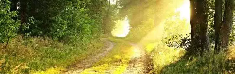 Dépendance affective et bienveillance du psychologue