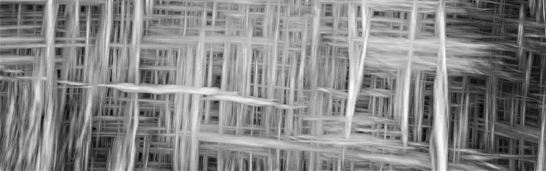 L&rsquo;alliance entre le psy et le patient