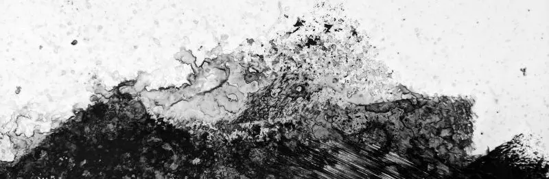 Les émotions, c&rsquo;est ce que nous sommes, pas ce que nous avons